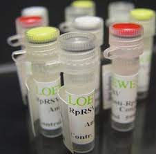 CONTROL POSITIVO QUARANTINE GAR P/CMMV