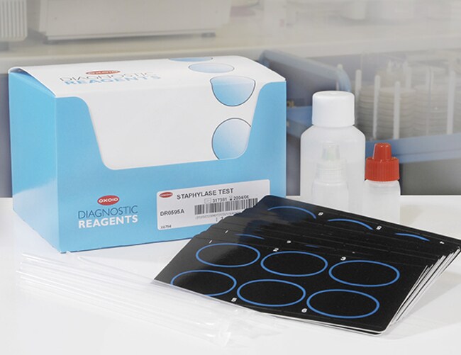 STAPHYLASE LATEX TEST (100)
