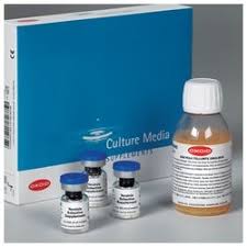 SUPLEMENTO CHLORANPHENICOL (10X500)