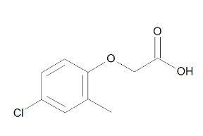 MCPA 100ng/ul (1 ml)