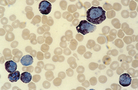 (MEDIO MONTAJE P/MICROSCOPIA) AQUATEX (50) 