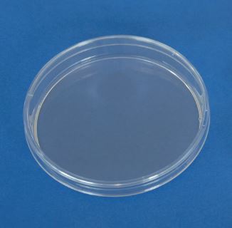 PLACA PETRI PLASTICO 150X19 MM 3-VIENTO ESTERI(140