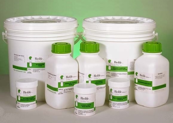 AGAR TRYPTONE BILE X-GLUC (TBX)  (500)