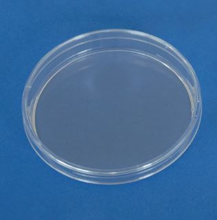 PLACA PETRI PLASTICO 90x16 SIN VIENTOS ESTERIL(480