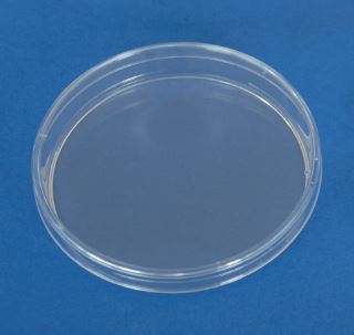 PLACA PETRI PLASTICO 90 X16 3 VIENTOS ASEPTIC(480)