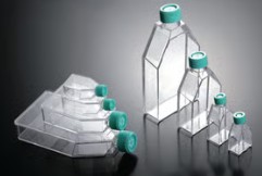 FRASCO CULTIVO CELULAR 12.5 CM2 (25 ML) (200)