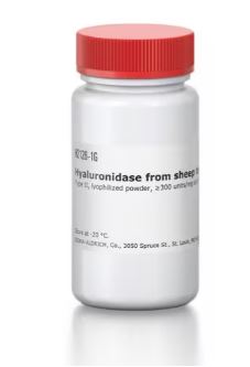 HYALURONIDASE FROM SHEEP TESTES (1G)