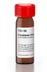 ELASTASE FROM PORCINE PANCREAS LYOPHILIZED POWDER 