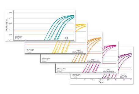 KAPA PROBE FAST (2X5ML)