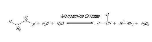 MONOAMINE OXIDASE A HUMAN (1VIAL)