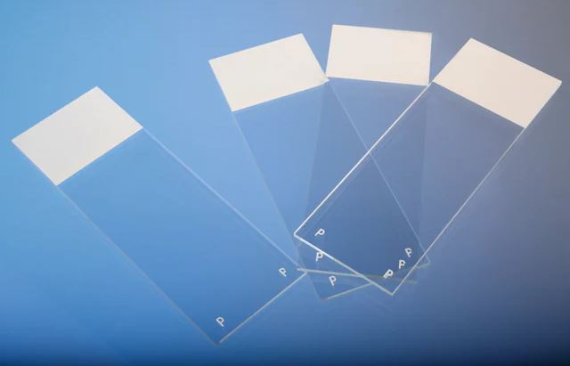 PORTAOBJETOS 25X76 C/POLYSINE (72UND)