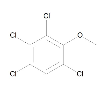 2,3,4,6-TETRACHLOROANISOLE (250MG)