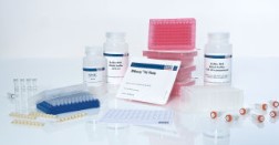 ALLPREP DNA/RNA/PROTEIN MINI KIT (50)