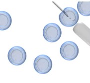 MSC FREEZING MEDIUM (50ML)