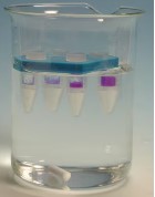 PUR-A-LYZER GRADILLA FLOTANTE MAXI P/DIALISIS