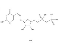GUANOSINE 5 ≥96% HPLC (10 MG)