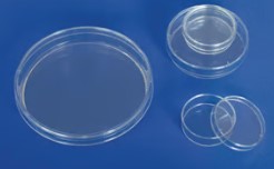 PLACA PETRI PLASTICO 94X16 MM (480)