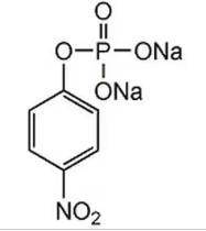 NITROPHENIL PHOSFATE DISIDIUM SALT HEXAHYDRATE (1)