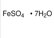 SULFATO FERROSO (1G)