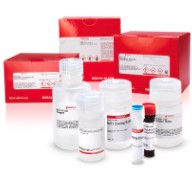 KIT ANALISIS ATP (BIOLUMINISCENTE) (100 RXN)
