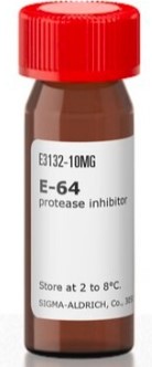 E-64 PROTEASE INHIBITOR (10MG)