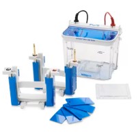 MPAGE MINI GEL TANK