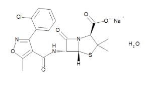 CLOXACILLIN SODIUM MONOHYDRATE (250MG)