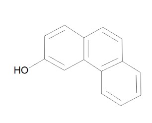 3-HYDROXYPHENANTHRENE (10MG)