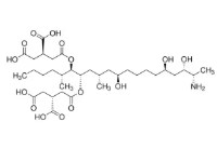 FUMONISIN B1 SOLUTION (1ML)