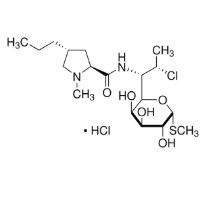 CLINDAMYCIN HYDROCHLORIDE (10MG)