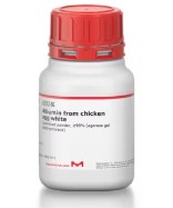 ALBUMINA DE HUEVO DE GALLINA (250 MG)