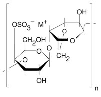 CARRAGEENAN (κ-) (100G)