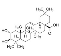MASLINIC ACID (10 mg)