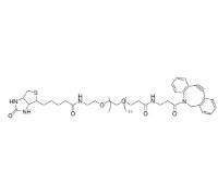 BIOTIN-DPEG(R)12-DBCO (10 MG)