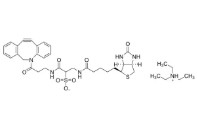 SULFO-DIBENZOCYCLOOCTYNE-BIOT IN CONJUGATE