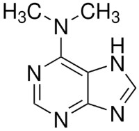 6-(DIMETHYLAMINO)PURINE ≥98% (250MG)