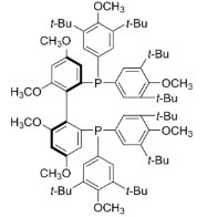 (R)-DTBM-GARPHOS (100 MG)
