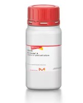 N-Z AMINE A (PEPTONA DE CASEINA) (250G)