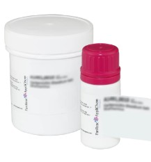 NADH DISODIUM SALT (1G)