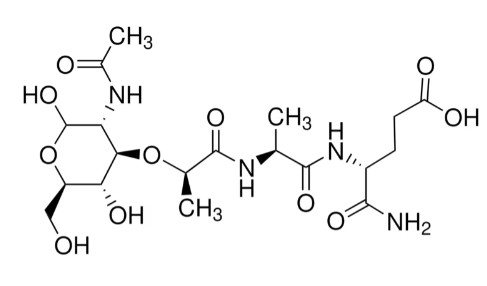 N-ACETYLMURAMYL-L-ALANYL-D-ISOGLUTAMINE HTE (1MG)