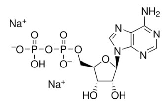 ADENOSINA 5´-DIFOSFATO SAL DISODICA ≥90% (250MG)