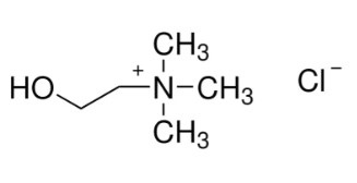 CLORURO DE COLINA (100G)