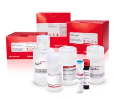 LACTATE DEHYDROGENASE ASSAY KIT