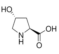 TRANS-4-HYDROXY-L-PROLINE>= 99% (TLC) (100 MG)