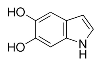 5,6-DIHYDROXYINDOLE (100MG)