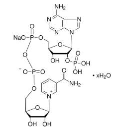 NADP MONOSODIUM SALT (500MG)