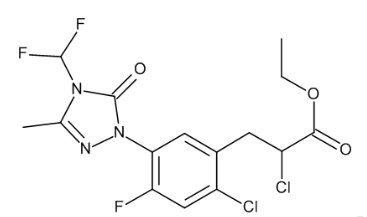 CARFENTRAZONE-ETHYL (10ML)
