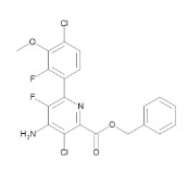 FLORPYRAUXIFEN-BENZYL 100 UG/ML IN ACETON. (1ML)