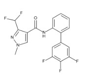 FLUXAPYROXAD 100 UG/ML IN ACETONITRILE (1ML)