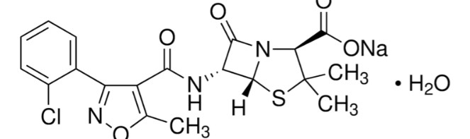CLOXACILLIN SODIUM SALT HYDRATE (230MG)